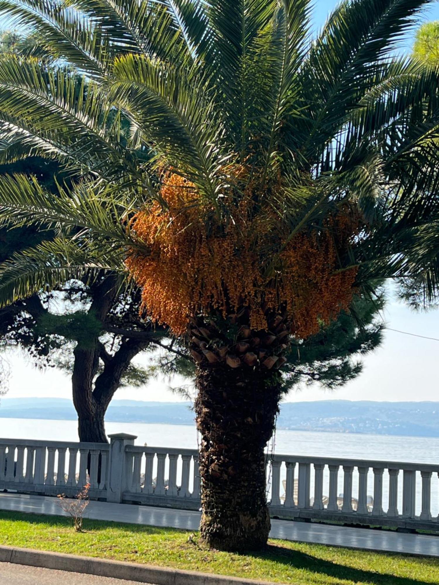 Crikvenica Right On The Beach 외부 사진